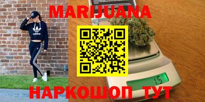 трава Кингисепп