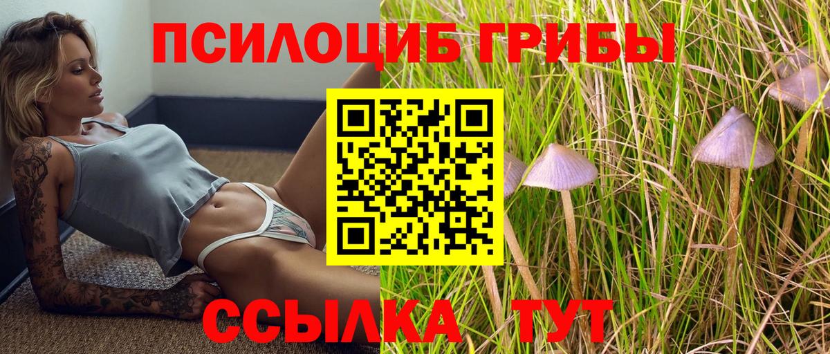 Кисловодск  где купить   Вход с VPN  Псилоцибиновые грибы Psilocybe  Галлюциногенные грибы Magic Shrooms 